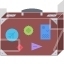 Case