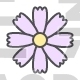 Flower, Cosmos, Daisy, Blossom, Nature, Spring