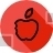 Apple, Fruit, Teaching, Study, Basic, School, Half, Eat