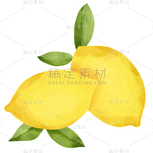 手绘-水彩水果美食元素贴纸-柠檬