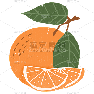 手绘-简约水果美食元素贴纸-橙子