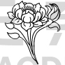 Flower Design