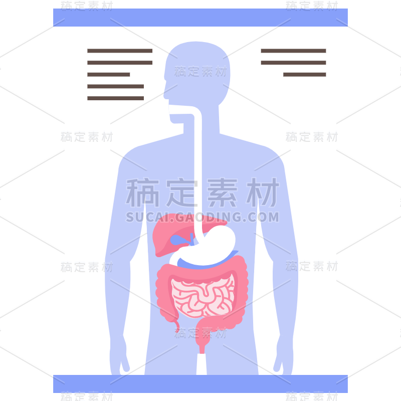 扁平-医疗元素贴纸-SVG-人体器官