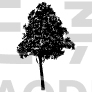 Tree Design