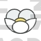 Flower, Tea, Blossom, Nature, Spring