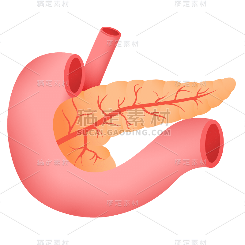 扁平-器官元素医疗贴纸-SVG-胰腺