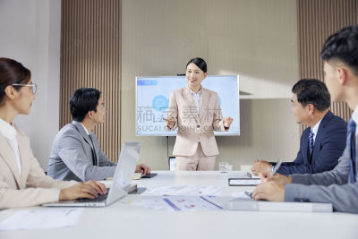 人物系列写实商务人士开会时的场景