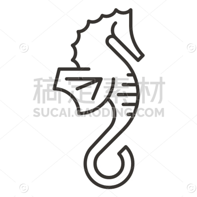 Hippocampus