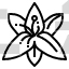 Lily Flower