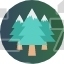 Pine Tree