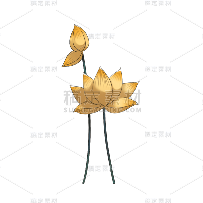 中国风-手绘植物花卉-莲花