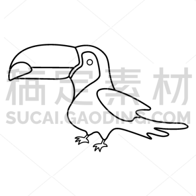 Toucan
