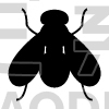mosquito