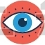vision