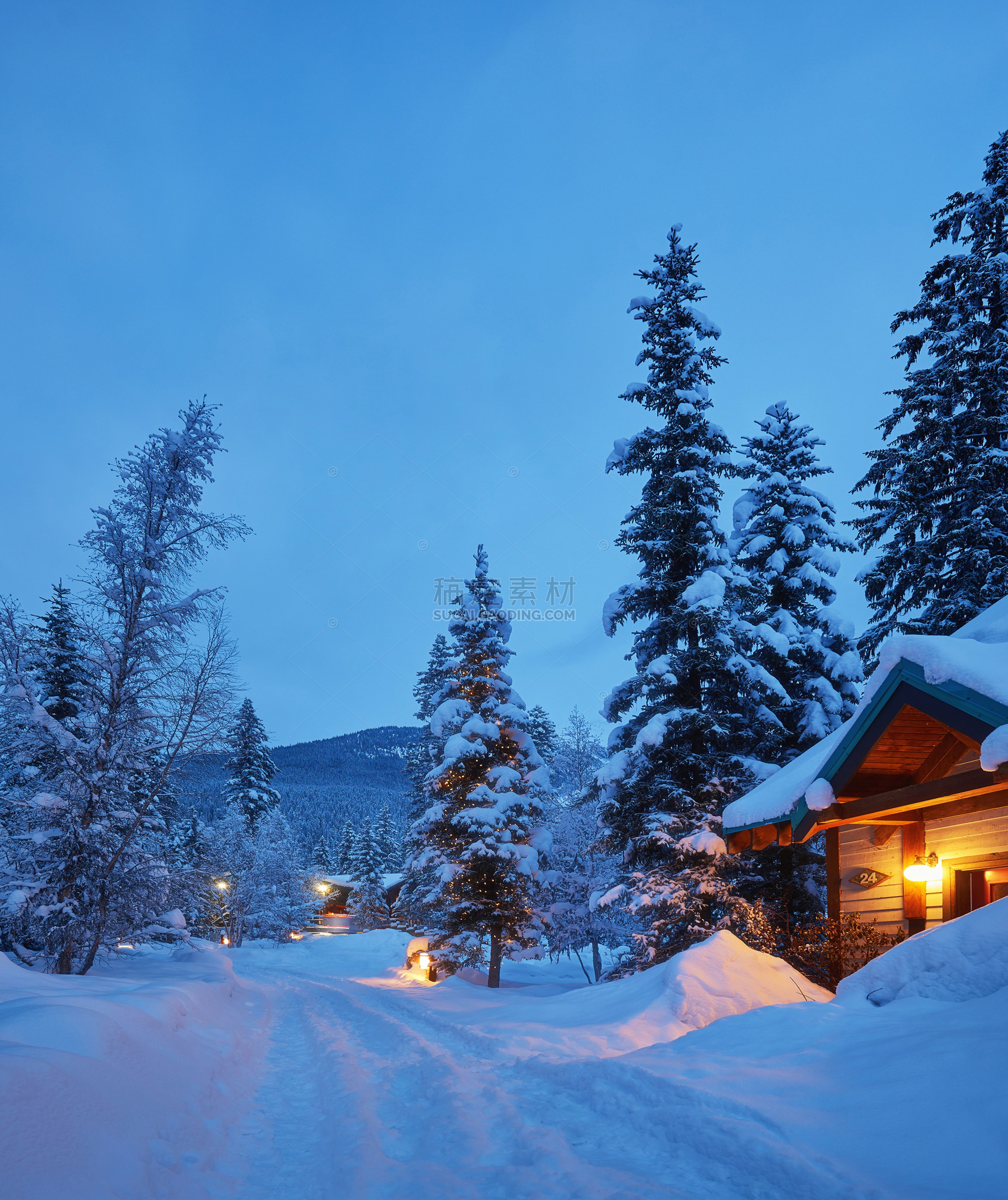 雪地里的树木和小屋