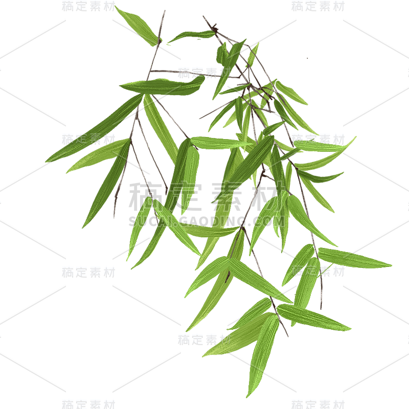 手绘-写实竹子竹叶植物元素贴纸1