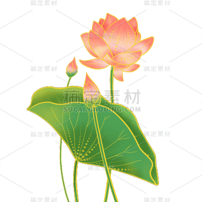 中国风-国潮植物元素贴纸-荷花