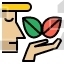 Herb
