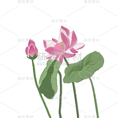 水墨风动植物贴纸