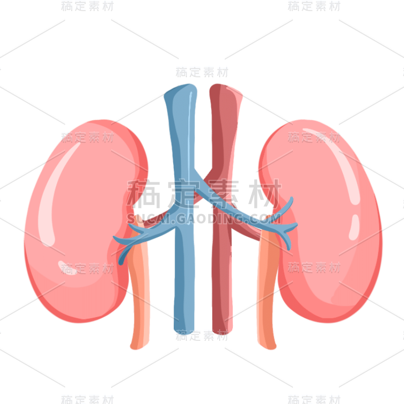 手绘-人体器官元素医疗贴纸22