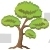 Scots Pine Tree