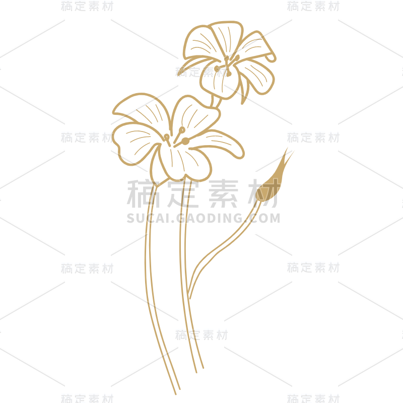 花卉线稿植物元素贴纸-SVG7