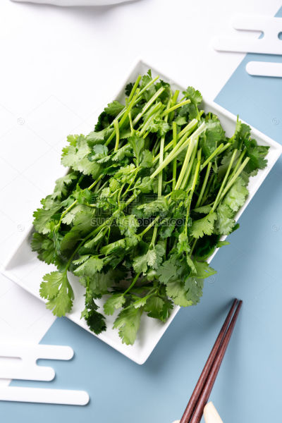 果蔬系列实景火锅食材香菜