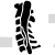 Spinal Stenosis