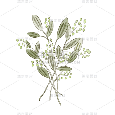 水彩画-复古干花元素