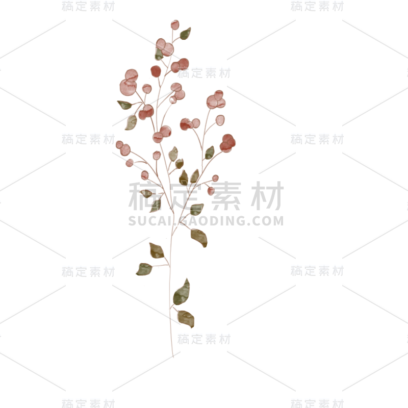 水彩画-复古干花元素