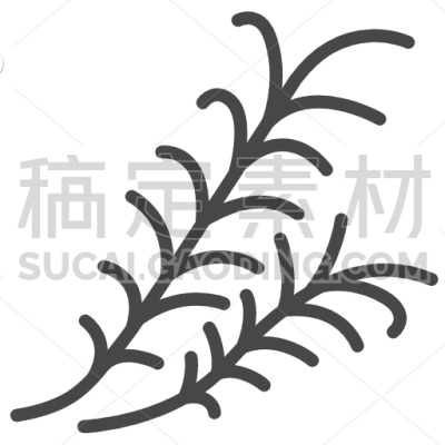 Rosemary