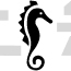 Seahorse