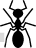 ant
