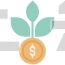 Money Plant