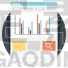 Web Analytic