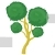 Bonsai Pine