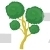 Bonsai Pine