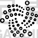 Iota coin