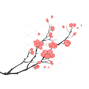 手绘水彩梅花花卉植物元素4