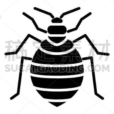 bed bugs