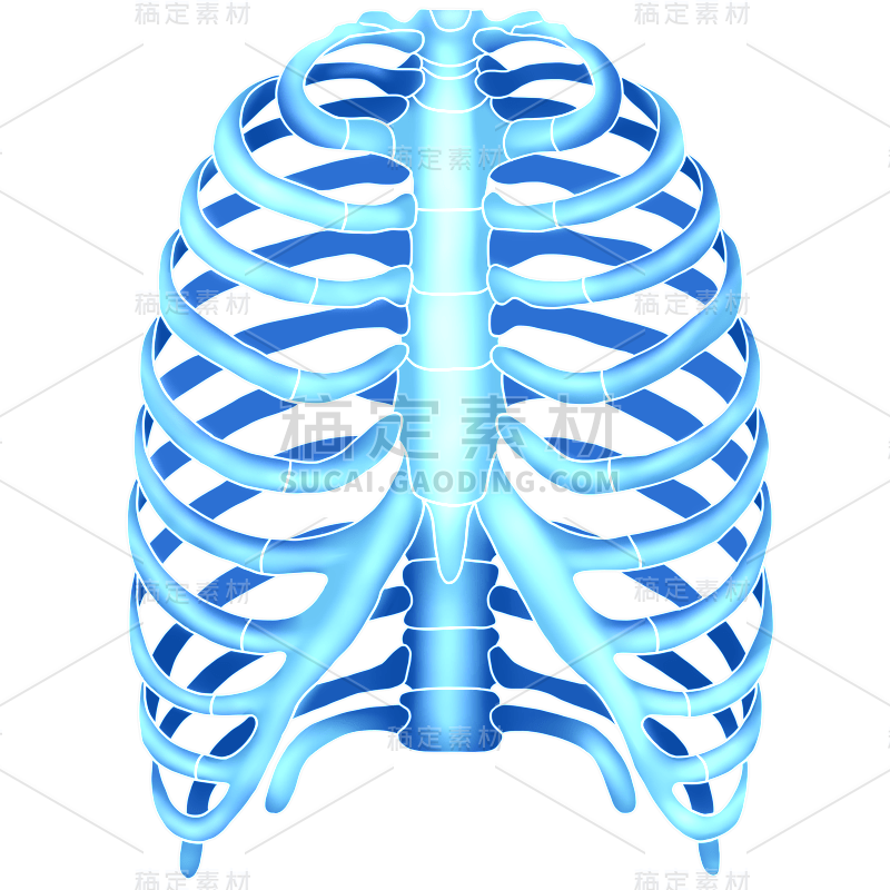 手绘-科技风人体骨骼医疗元素贴纸1