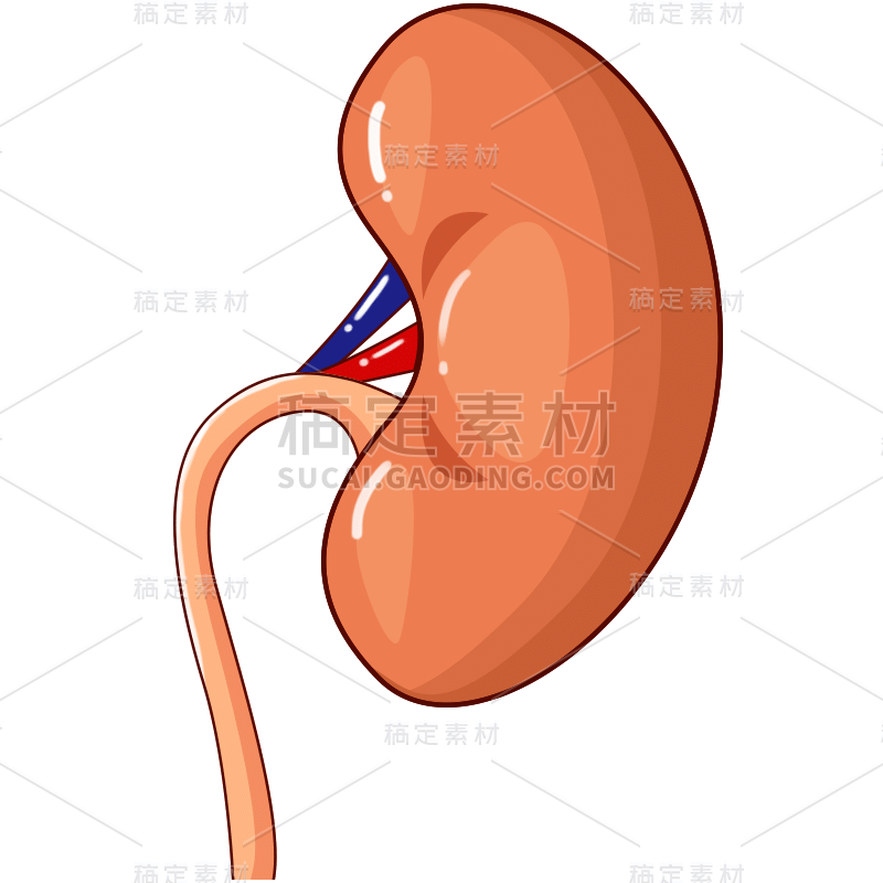 手绘-人体器官医疗元素贴纸16