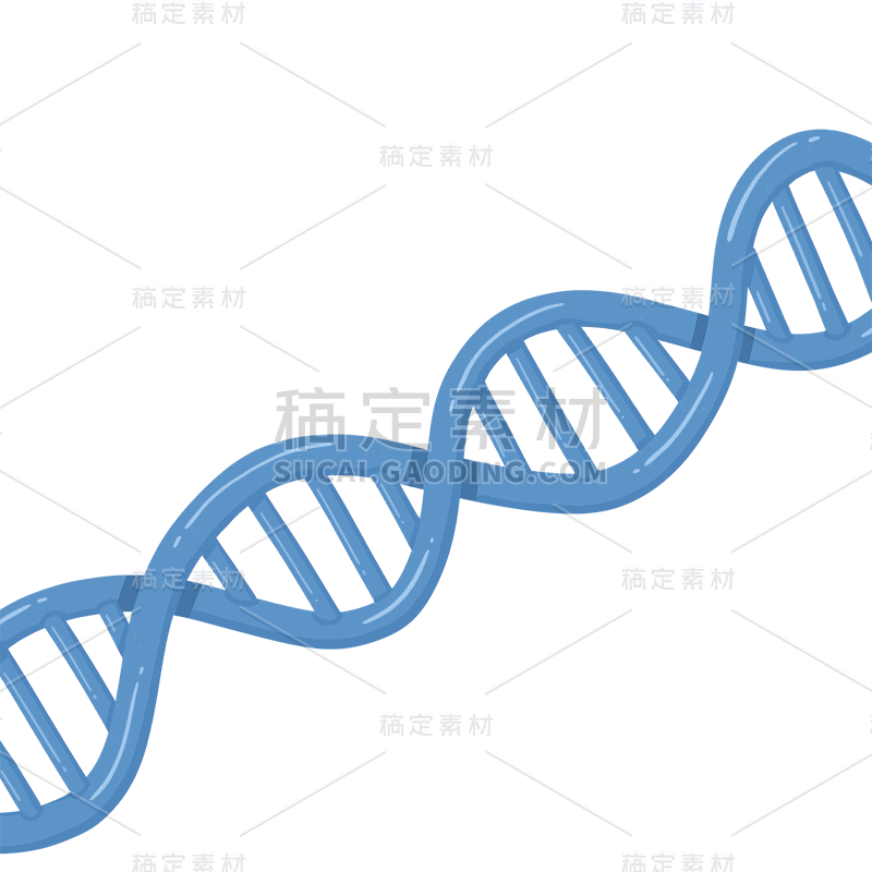 手绘-初高中课程辅导贴纸-DNA