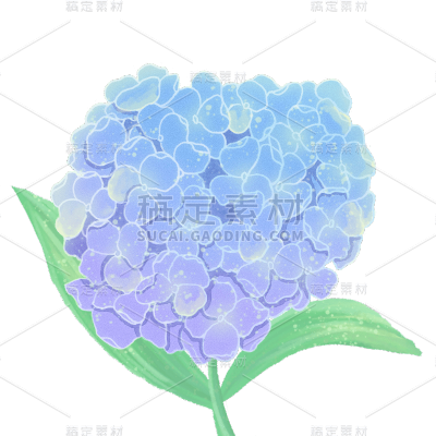 手绘-花卉元素