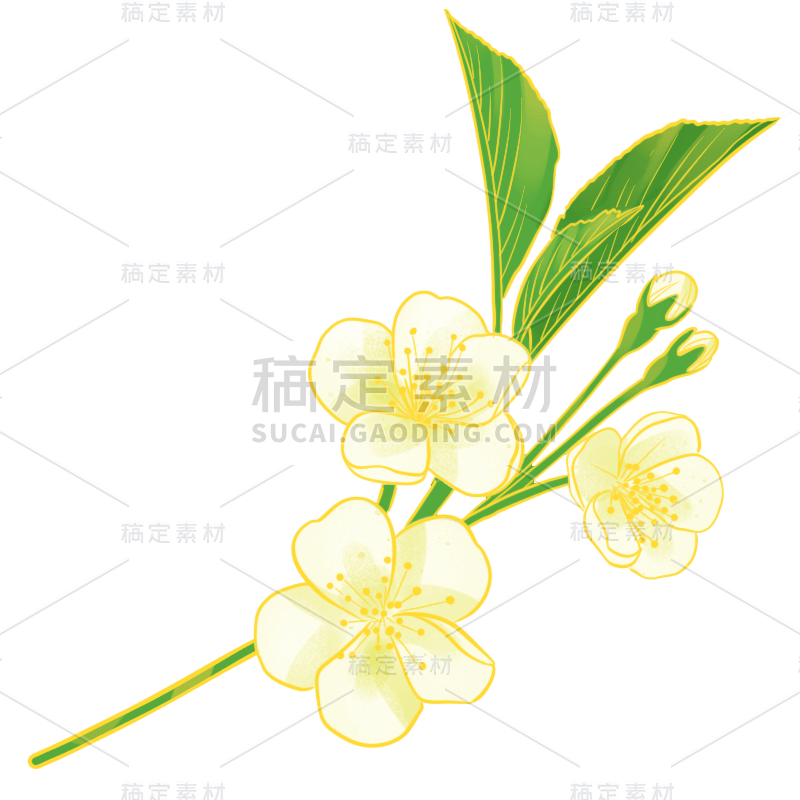 中国风-国潮植物元素贴纸-梨花