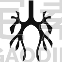 Bronchus