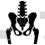Hip Bone