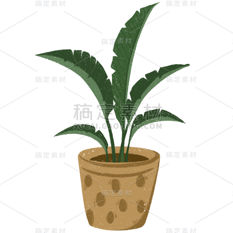 植物元素插画元素主题素材