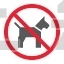 No dog