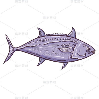 手绘-海鲜美食元素贴纸-鱼2